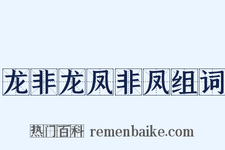 龙非龙凤非凤组词是什么意思的图片